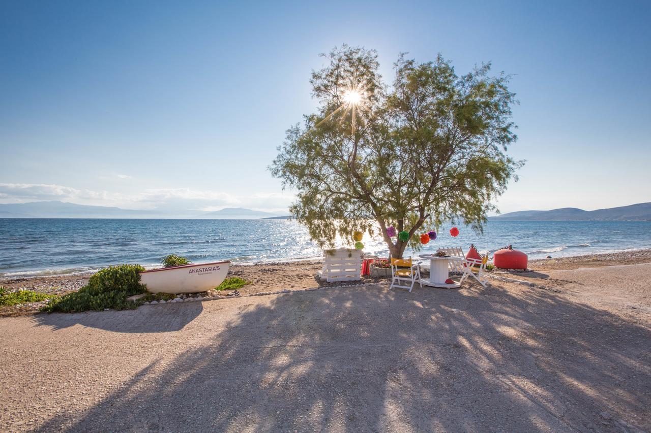 Appartement Anastasias *